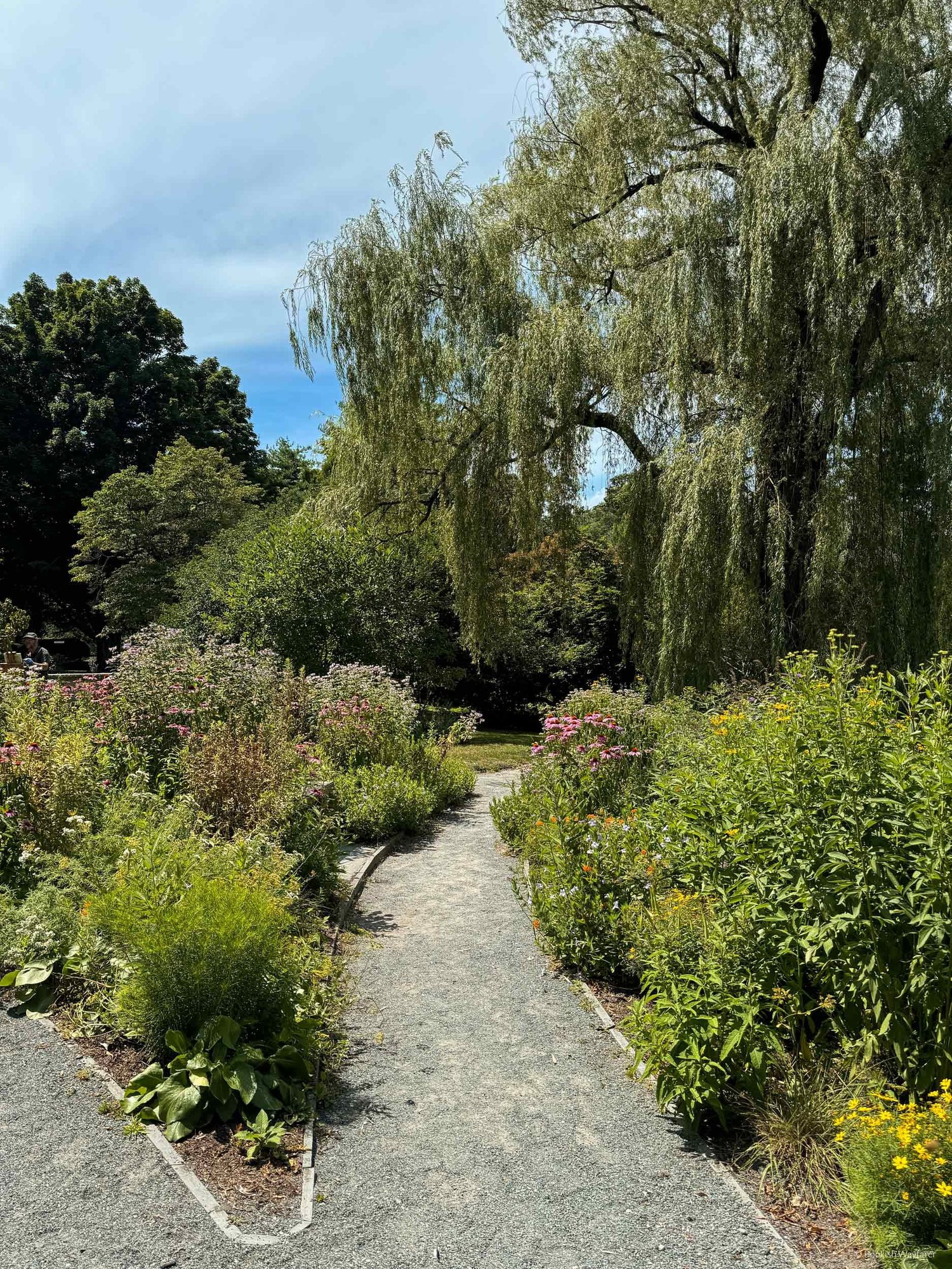 14 Unique And Non Touristy Things To Do In Boston Bookish Wayfarer 14 Unique And Non Touristy Things To Do In Boston Bookish Wayfarer