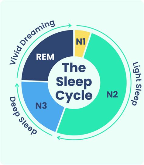 Whispers Of Biochemical Changes During Nrem Sleep Revealed