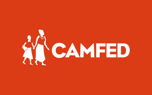 Camfed Association Leaders For Girls Education How We Operate