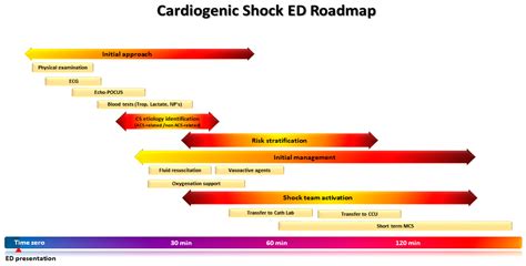 Early Recognition And Risk Stratification In Cardiogenic Shock Well Begun Is Half Done Early Recognition And Risk Stratification In Cardiogenic Shock Well Begun Is Half Done
