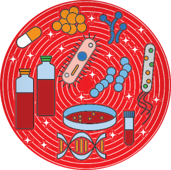 Embolic Risk Management In Infective Endocarditis Predicting The Embolic Roulette Open Heart