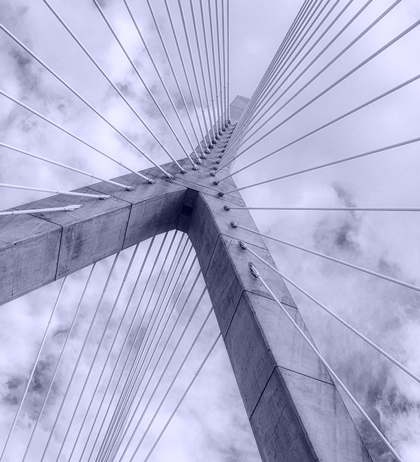 Emily Brabbit Vice President Biotech Investor Relations At Argot Partners Linkedin