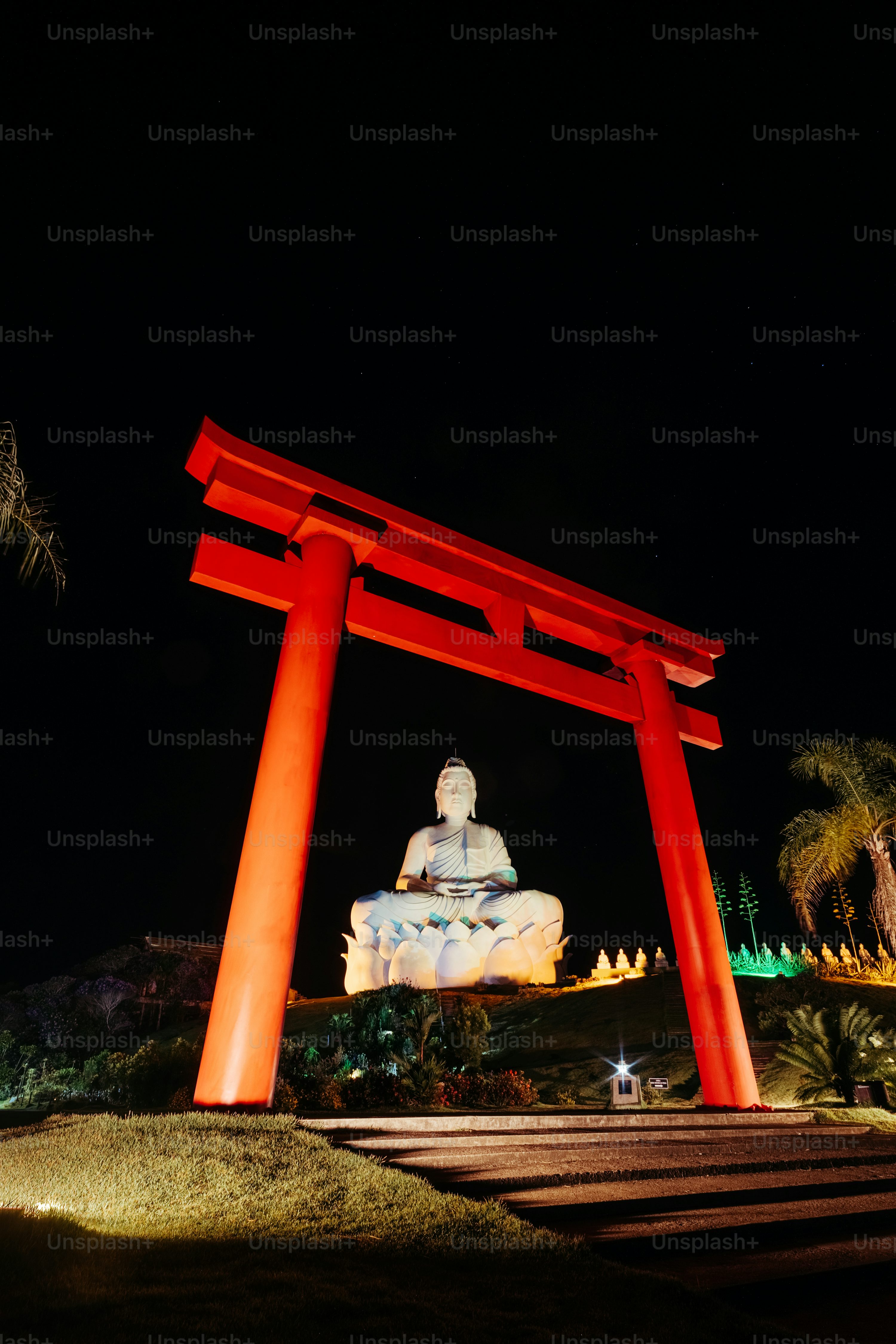 Foto Un Gran Tori Tori Tori Tori Tori Tori Tori Imagen Jingu De Ee