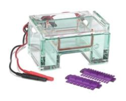 Gel Electrophoresis Equipment And Supplies Fisher Scientific Gel Electrophoresis Equipment And Supplies Fisher Scientific