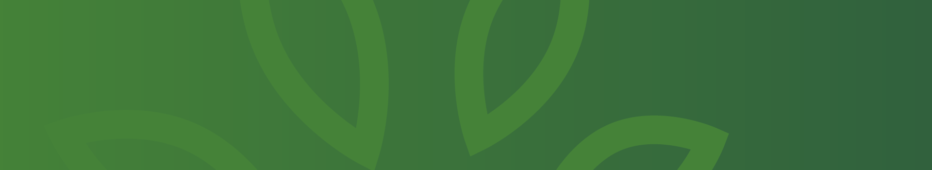 The Ultimate Guide to Hub Sex