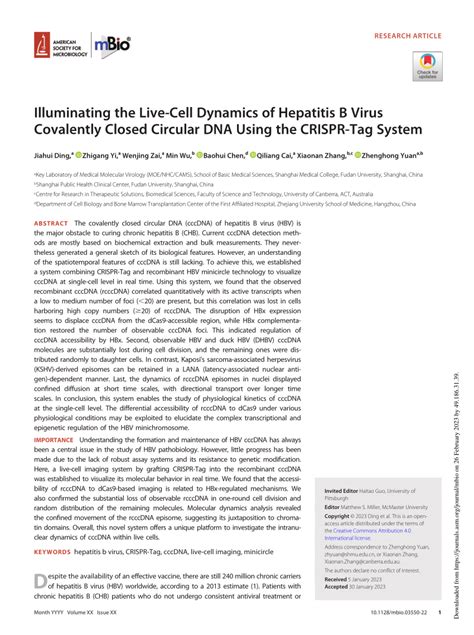 Illuminating The Live Cell Dynamics Of Hepatitis B Virus Covalently Closed Circular Dna Using The Crispr Tag System Mbio