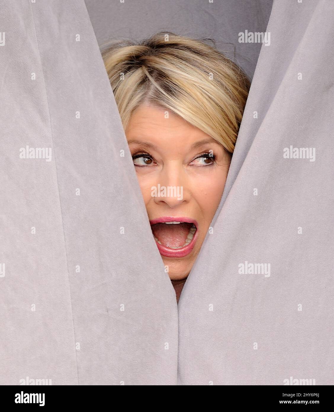 Martha Stewart Attends The Amp Quot Comedy Central Roast Of Justin Bieber Amp Quot Held At Sony Studios Stock