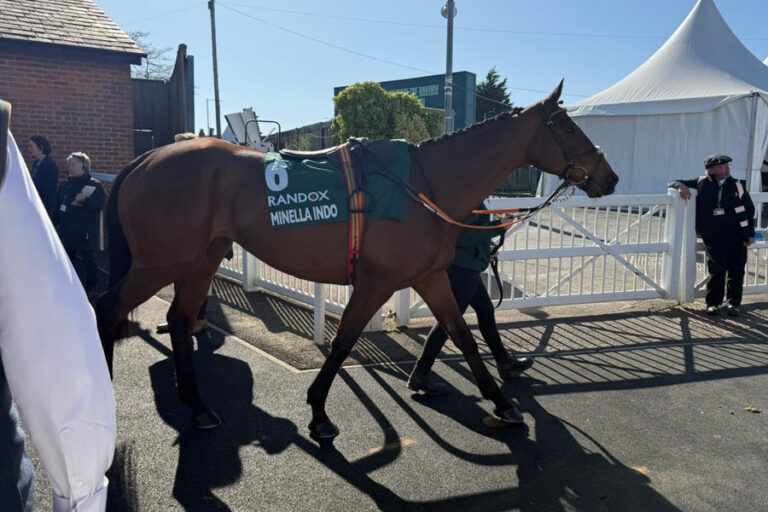 Minella Indo Grand National Odds To Win Amp Betting Profile 2024 Betfred