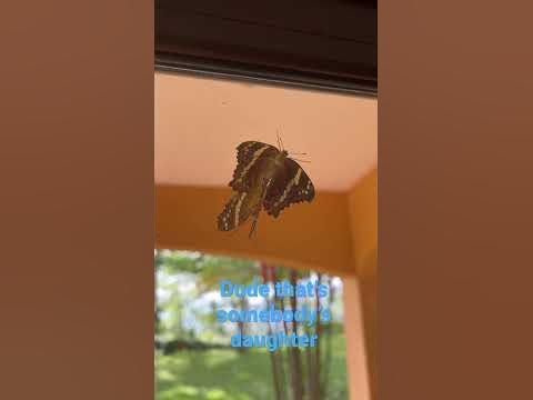 The Top 5 YouTube Porn Traps