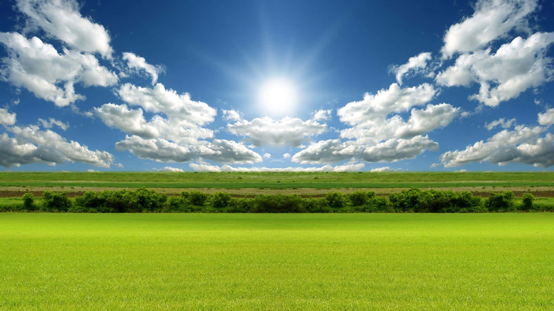 Sunny Day Wallpapers Top Free Sunny Day Backgrounds Wallpaperaccess