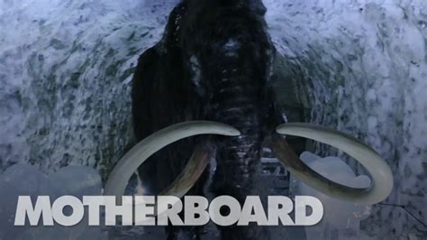 The Mission To Resurrect The Woolly Mammoth Youtube The Mission To Resurrect The Woolly Mammoth Youtube