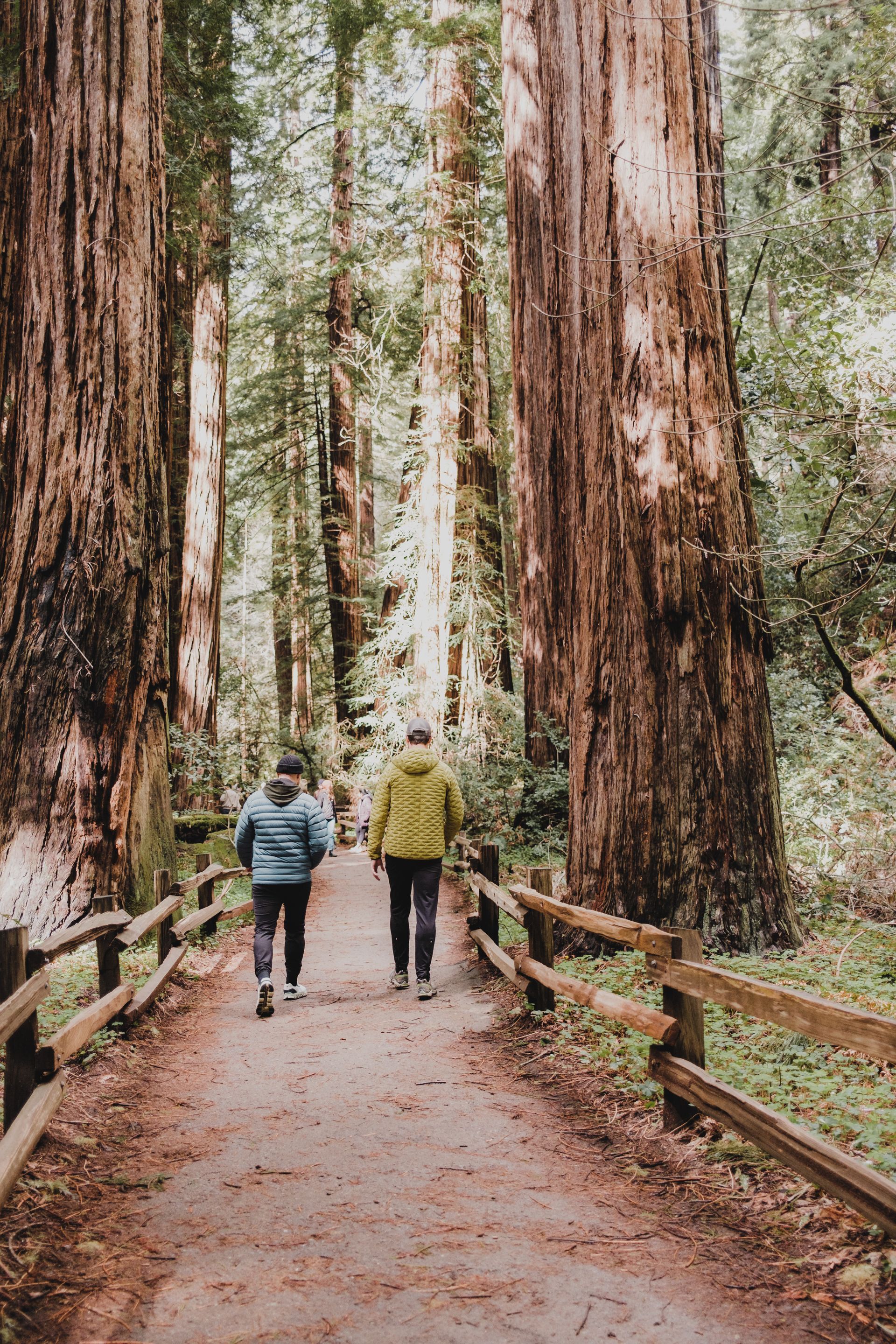 Unveiling The Hidden Treasures Of Compact Comics Comicbookcollection Unveiling The Hidden Treasures Of Compact Comics Comicbookcollection