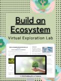 A Creator's Journey: Virtual Lab Build Your Ecosystem