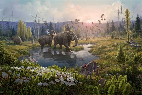 World S Oldest Dna Discovered Revealing Ancient Arctic Forest Full Of Mastodons Scientific American World S Oldest Dna Discovered Revealing Ancient Arctic Forest Full Of Mastodons Scientific American